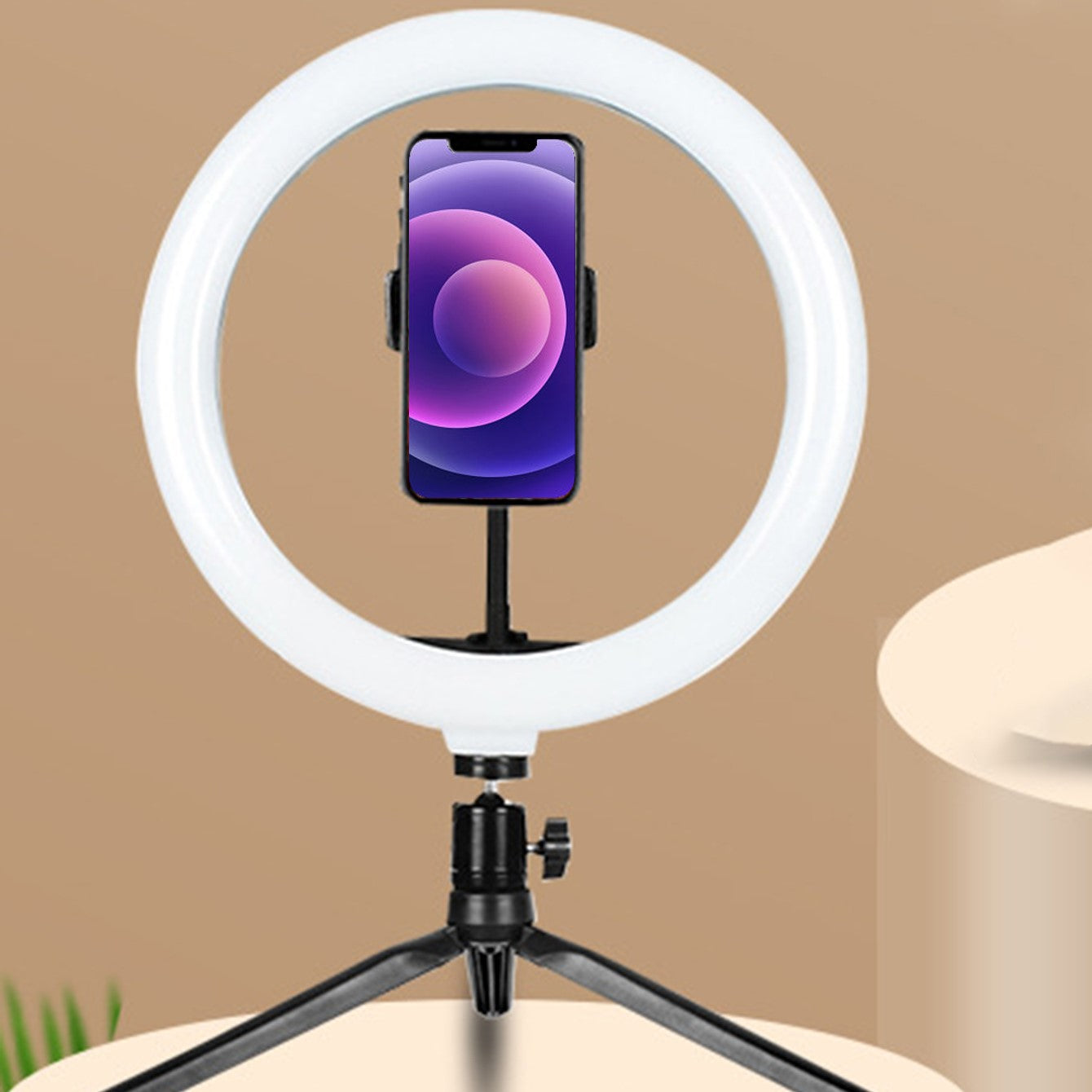 10 Inch Professional Fill Light Set with 360° Rotation & Multifunctional Switch - Perfect for Photography & Videography!