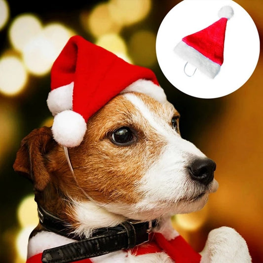 Fă-ți animalul de companie să arate festiv Crăciunul acesta cu o pălărie de Moș Crăciun din piele întoarsă moale!